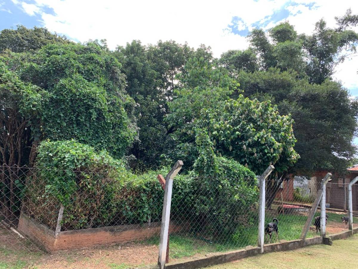 Fazenda à venda com 3 quartos, 275m² - Foto 22