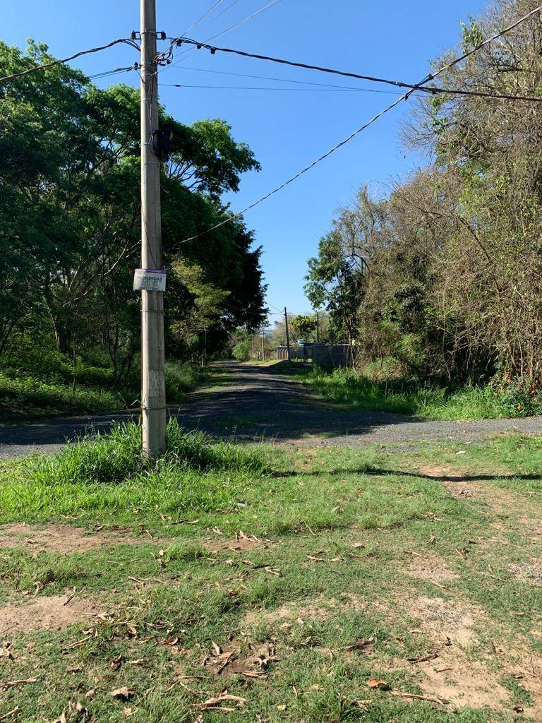 Fazenda à venda com 3 quartos, 1307m² - Foto 29